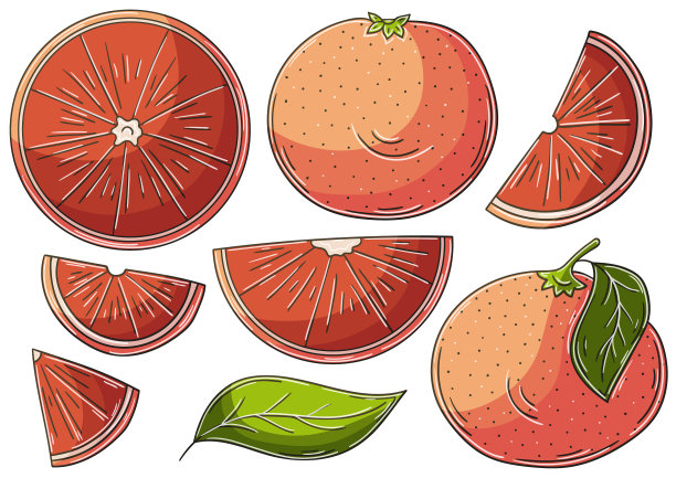 一套手绘风格图片下载