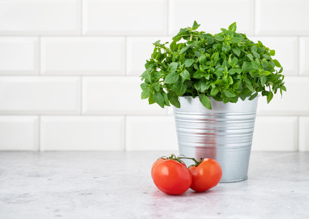 一个金属锅，里面放着新鲜的罗勒和西红柿，背景是白色的砖。有机食品的概念。前视图和复制空间图片下载