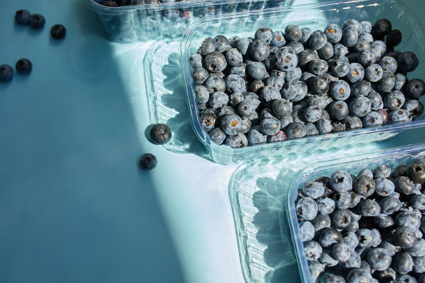 新鲜的有机多汁蓝莓平铺在蓝色背景的碗里图片下载