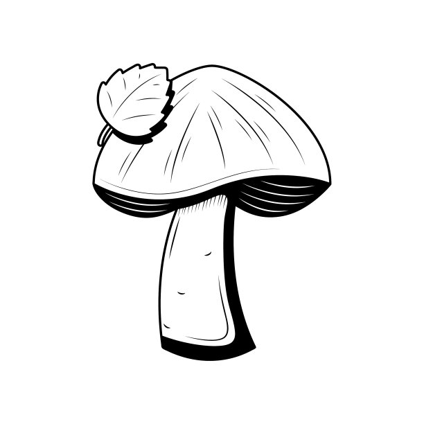 黑色简单线条蘑菇与叶子涂鸦轮廓元素矢量设计风格草图孤立在白色背景插图自然食物图片下载