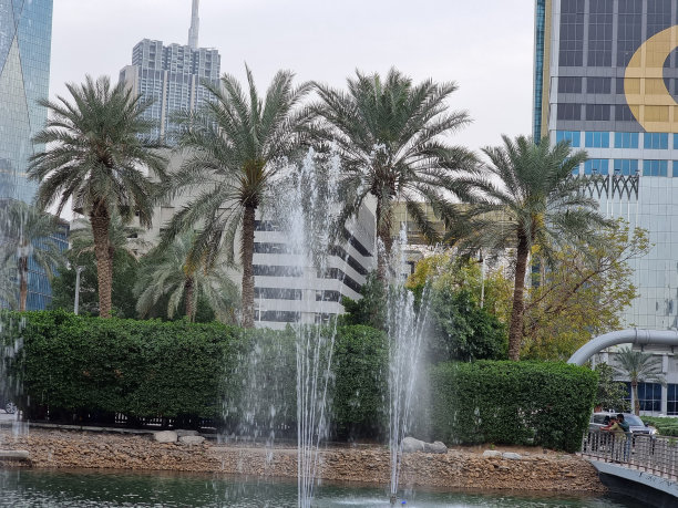 阿联酋迪拜美丽的喷泉图片下载