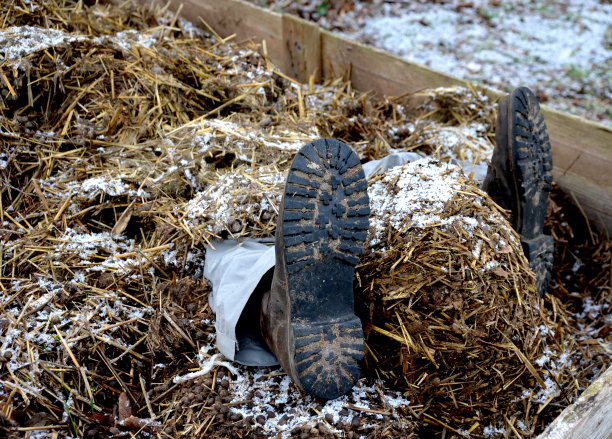 男子在粪堆中铺床而卧图片下载