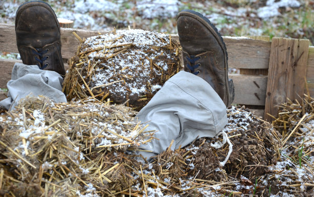 男子在粪堆中铺床而卧图片下载