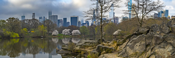 春天的中央公园在湖边图片下载