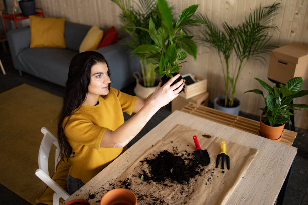 高角度的一个年轻的白人妇女照顾她的植物在家里图片下载
