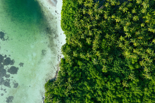 印度洋热带岛屿的鸟瞰图图片下载