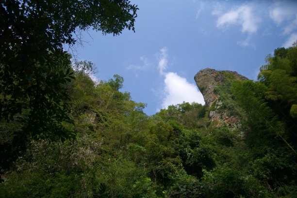 这也是大分的热门旅游景点。图片下载