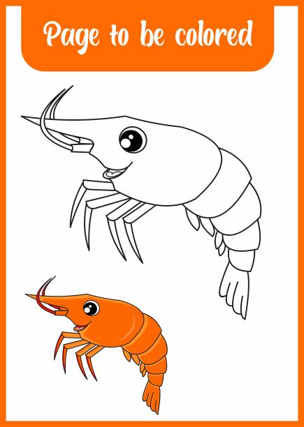 给可爱的小虾上色图片下载