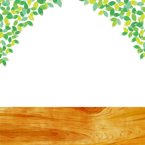 绿色的叶子在白色的背景图片下载