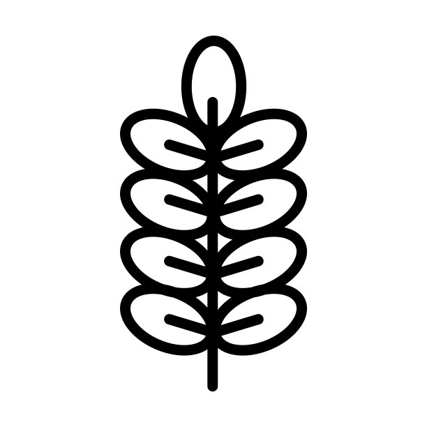 坚果叶图标从自然收集。薄线性坚果叶，坚果，叶子轮廓图标孤立在白色背景上。线矢量螺母叶符号，网页和移动符号。图片下载