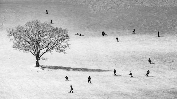 在日本白马谷滑雪和单板滑雪图片下载