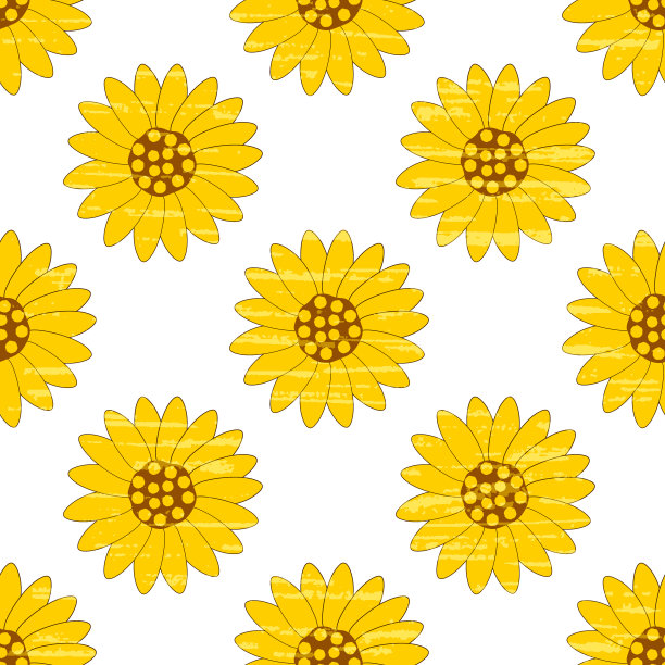 向日葵黄色的白色背景与纹理，无缝向量模式。手绘的平面向日葵插图。图片下载