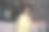 微笑的印度男子拿着信用卡在网上用手机购物。移动银行。英俊的亚洲男人在网上订餐，看向别处，坐在家里，复印空间图片下载