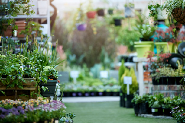 拍摄了一个空的苗圃，里面有各种美丽的花朵图片下载