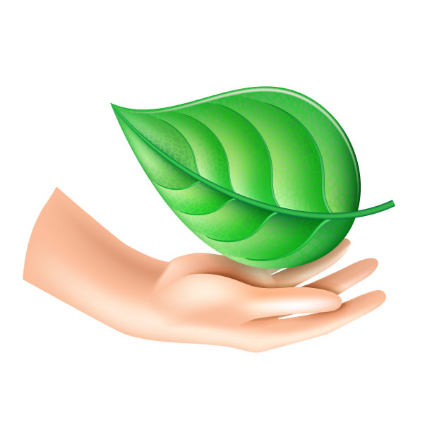 手握着植物的一片叶子。矢量插图孤立在白色图片下载