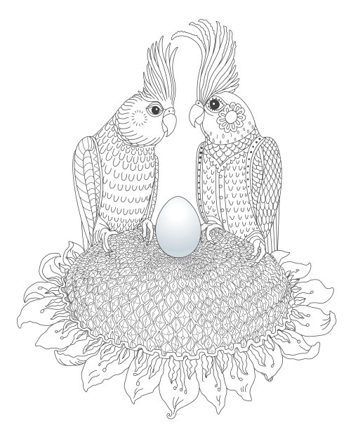 向量童话科雷拉鹦鹉爱情夫妇向日葵蛋。涂色书页成人和儿童，婴儿淋浴复古邀请卡图片下载