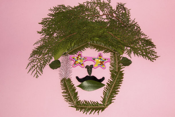 头部由一片常青树的叶子和星星形状的眼镜组合而成，还有胡子，茂盛的头发，创意的嬉皮自然背景图片下载