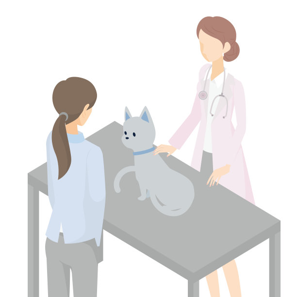 猫主人与一位女兽医交谈，她为猫的健康提供建议图片下载