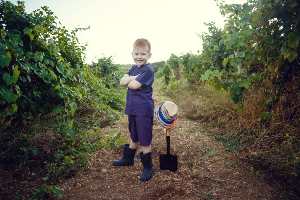可爱的红发雀斑男孩在花园里帮忙。早期教育的理念和概念在孩子的花园里工作图片下载
