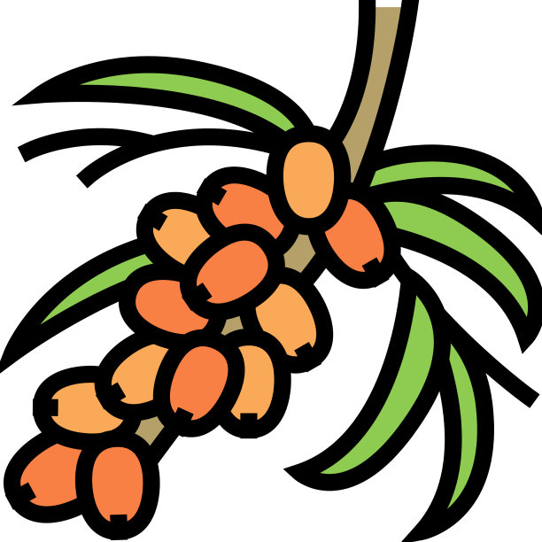 沙棘浆果树的树枝颜色图标图片下载