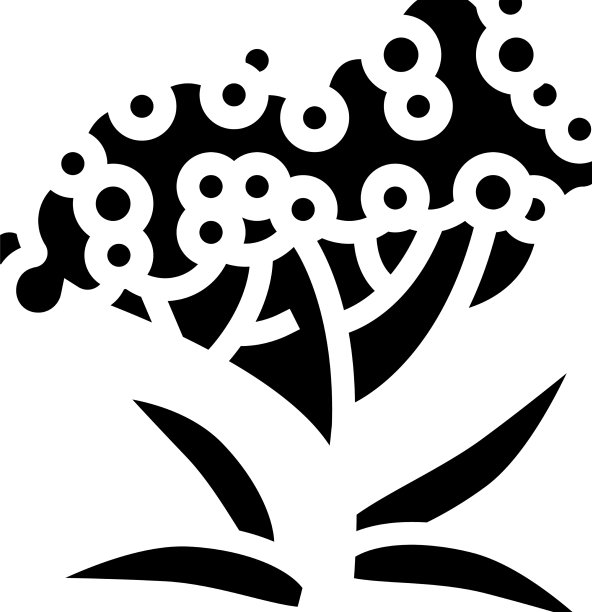 接骨木树的树枝字形图标图片下载