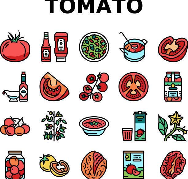 番茄天然维生素蔬菜图标集图片下载
