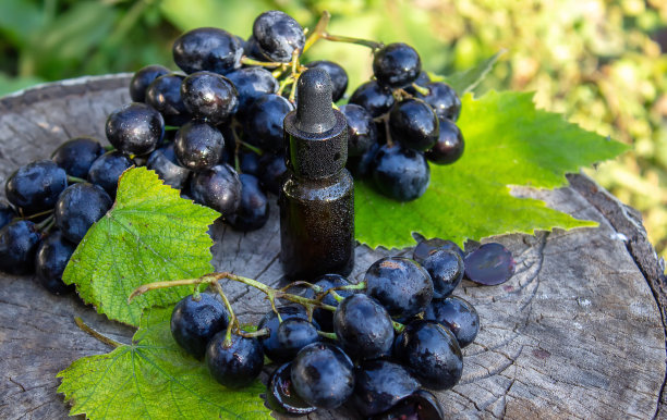 葡萄籽油玻璃罐和新鲜葡萄，用于水疗和身体护理。概念水疗、生物、生态产品图片下载