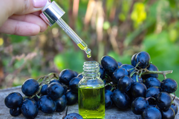 葡萄籽油玻璃罐和新鲜葡萄，用于水疗和身体护理。概念水疗、生物、生态产品图片下载