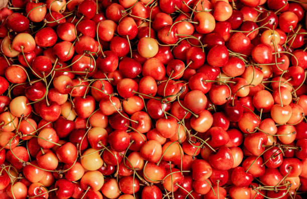 甜美的黄色樱桃的背景。前视图。图片下载