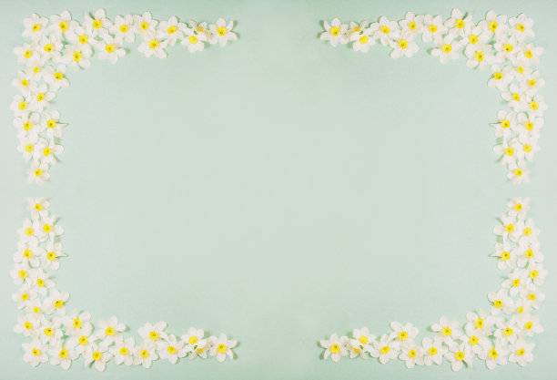 春天的白色花朵在绿色的背景上图片下载