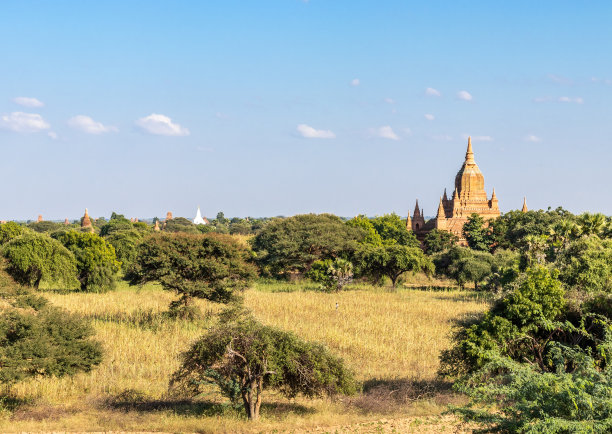 蒲甘平原上的寺庙图片下载
