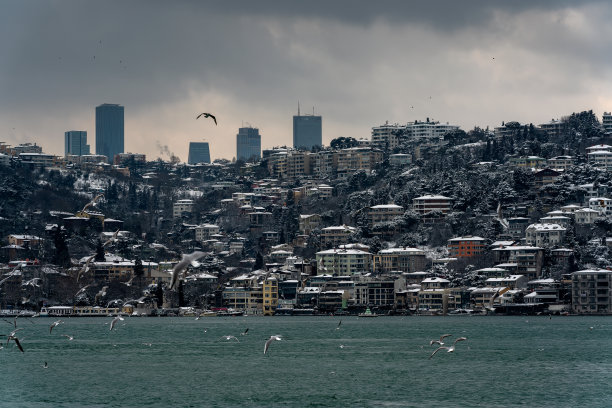 2022年3月伊斯坦布尔冬季图片下载