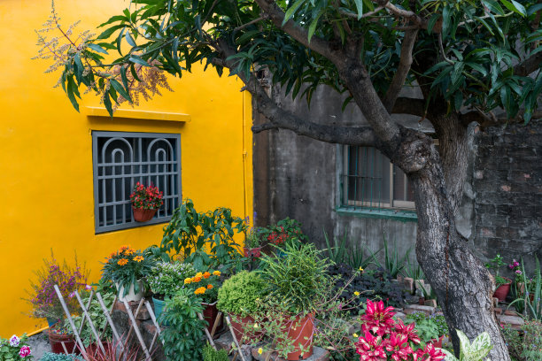 庭院里装饰着许多盆花。图片下载