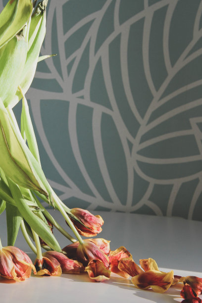 枯萎的花朵：阳光下的干郁金香和落花图片下载