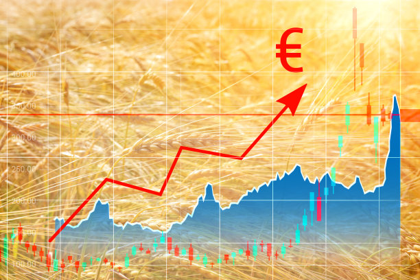 图中小麦种子价格的上涨，在麦田的背景上有一个向上的箭头和一个欧元图标。危机观念，粮食作物短缺。交易所报价图片下载