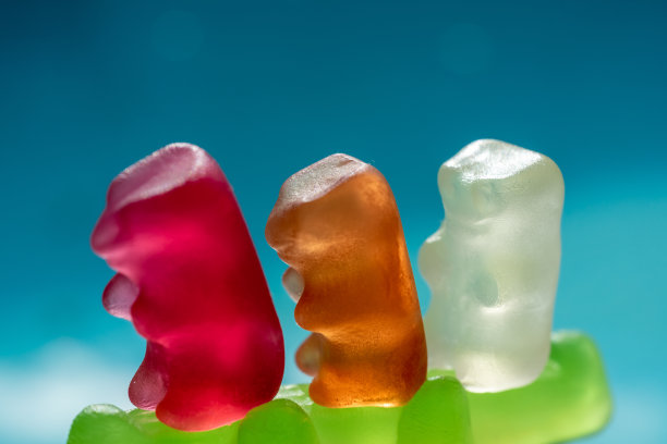 三只彩色的果冻熊在一只软糖鳄鱼上图片下载
