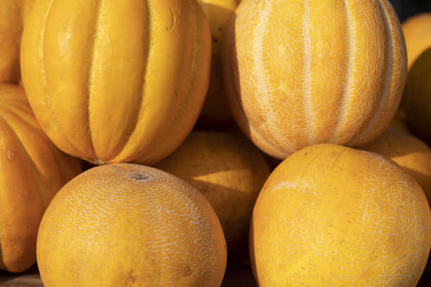 南瓜在市场。蔬菜是黄色的。在秋天收获。大的果实。图片下载