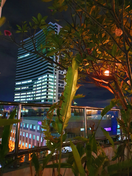 现代城市的屋顶甲板在夜晚与树木后面的建筑物-古堡图片下载