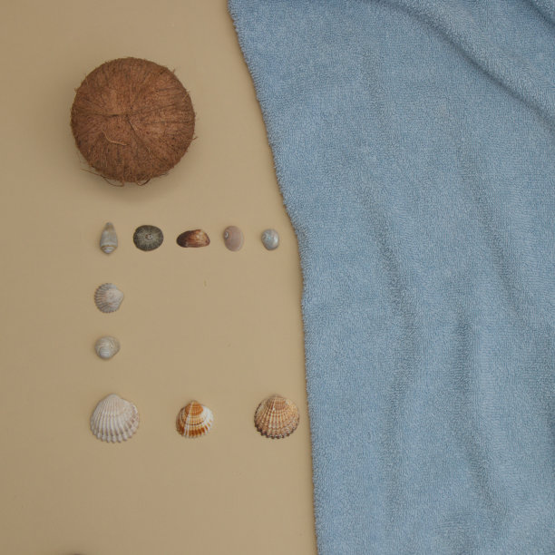 海边有椰子和贝壳的拷贝空间。最小的夏天平坦的场景。图片下载