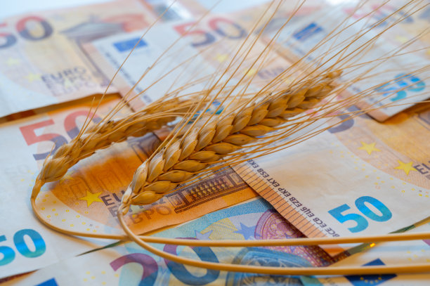 玉米穗和金钱。小麦价格。图片下载