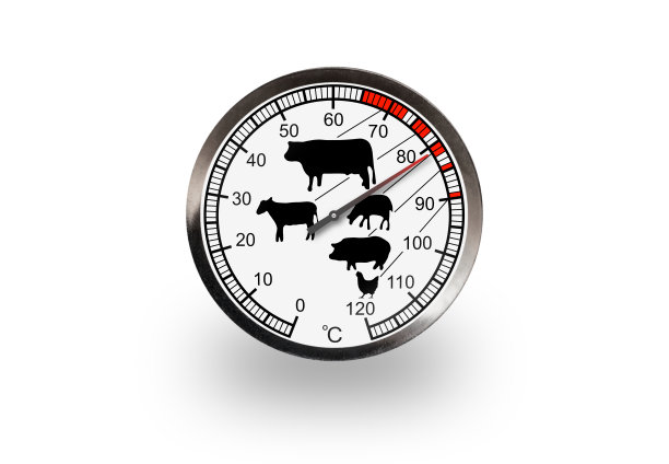 肉温度计孤立在白色背景与软阴影。温度计显示八十一度图片下载