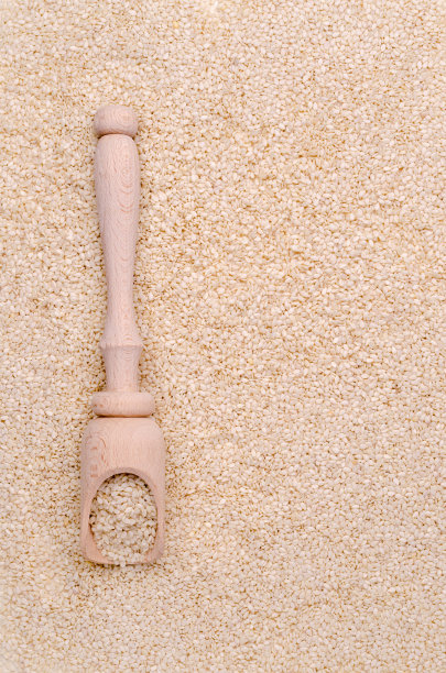 白芝麻图片下载