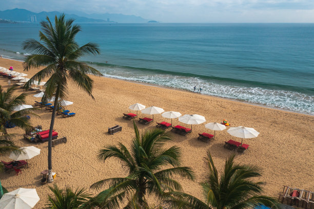 芽庄海滩上的海浪图片下载