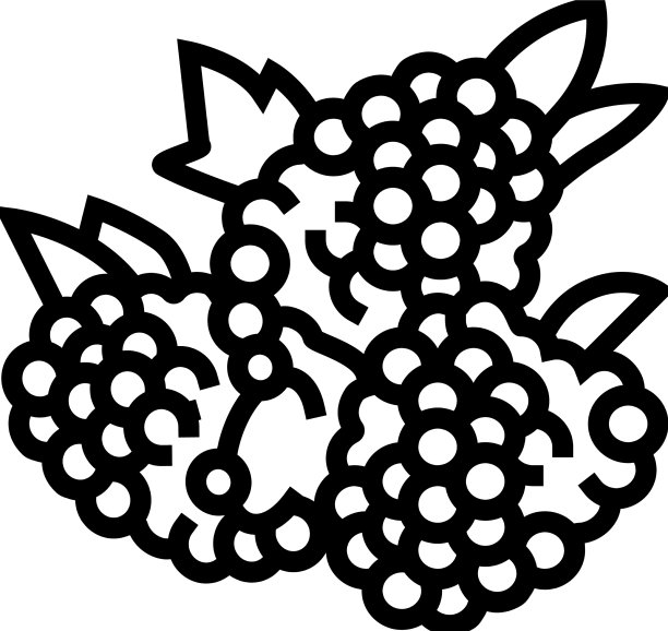 树莓莓线图标图片下载