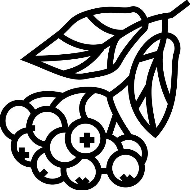 黑莓树枝线图标图片下载