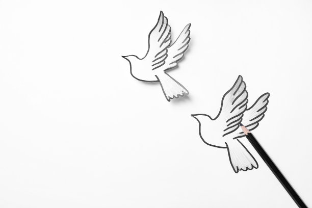 铅笔附近画美丽的鸽子和白色背景，俯视图图片下载