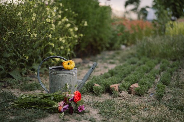 花园里的喷壶里装满了美丽的鲜花。图片下载