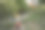 花园里的喷壶里装满了美丽的鲜花。图片下载