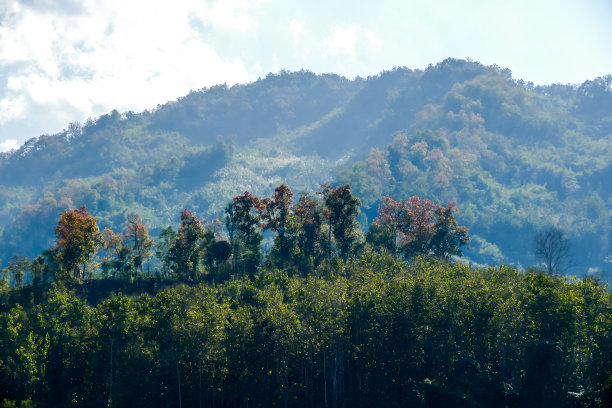秋天的山中，美丽的照片数码照片，以数码照片照片为背景图片下载