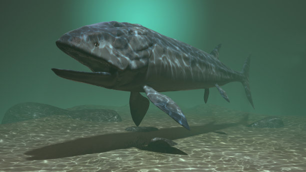 Leedsichthys(中侏罗世)图片下载